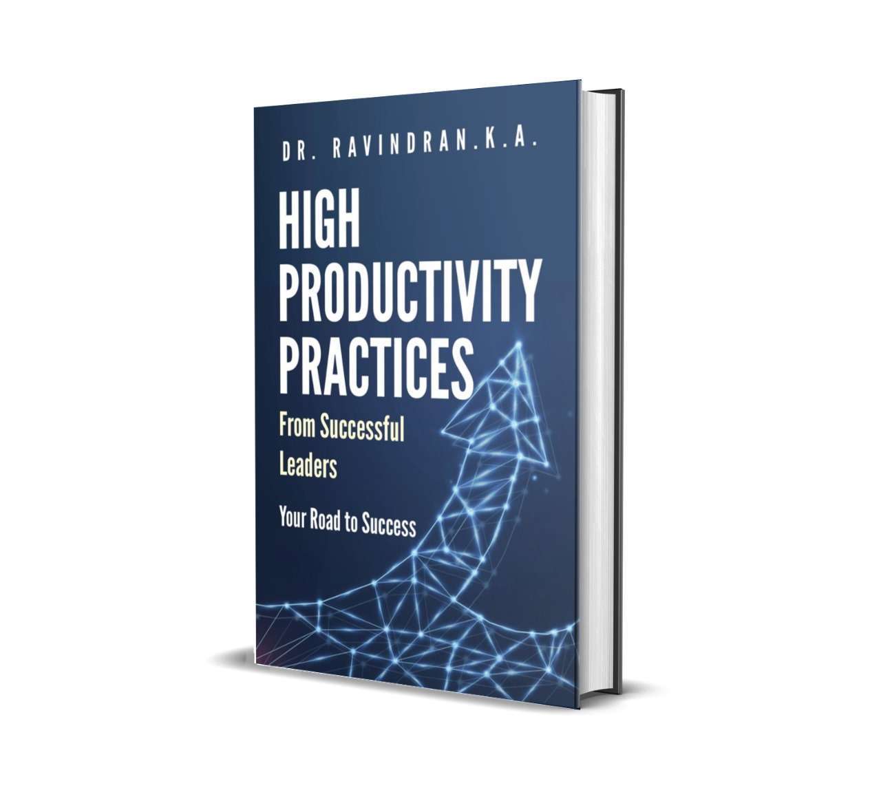 High Productivity Practices from Successful Leaders
